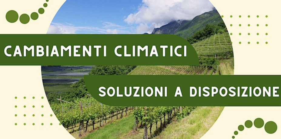 Cambiamenti climatici: rischi, strumenti e risorse per il settore agricolo